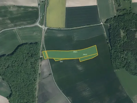 Prodej pole, Očelice, 19275 m2