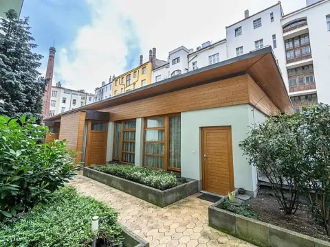 Pronájem atypického bytu, Praha - Staré Město, Bílkova, 40 m2