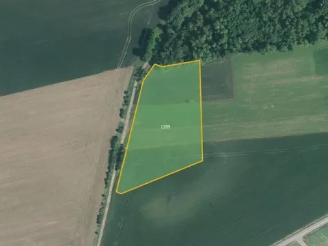 Prodej pole, Ivančice, 20472 m2