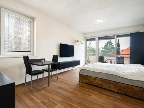 Pronájem bytu 1+kk, Hradec Králové - Nový Hradec Králové, Slunečná, 29 m2