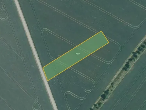 Prodej pole, Prštice, 7073 m2