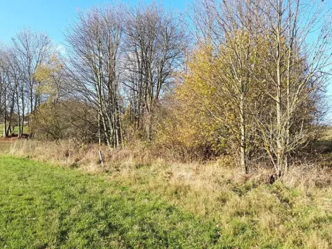 Prodej pozemku pro bydlení, Hynčina, 2595 m2