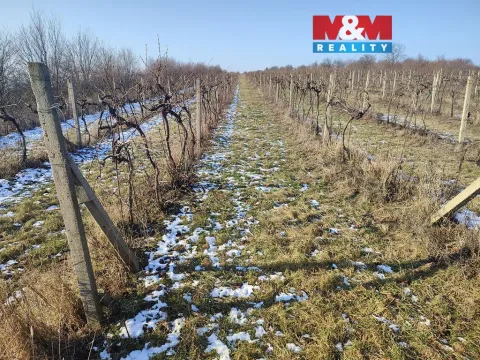 Prodej pole, Morkůvky, 3677 m2