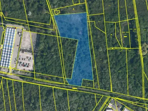 Prodej louky, Kosmonosy, 8401 m2