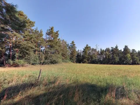 Prodej pole, Nihošovice, 1236 m2