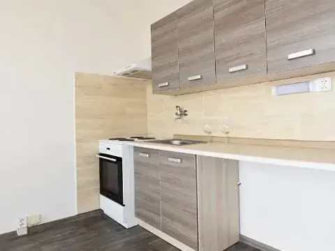 Pronájem bytu 1+1, Chomutov, Borová, 36 m2