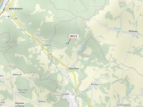 Dražba lesa, Zubrnice, 8765 m2