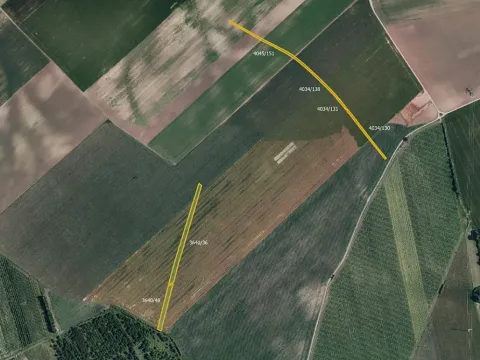 Prodej pole, Čejkovice, 8678 m2