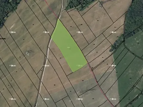 Prodej pole, Hvozdnice, 11689 m2