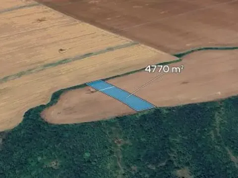 Prodej podílu pole, Nedachlebice, 1192 m2