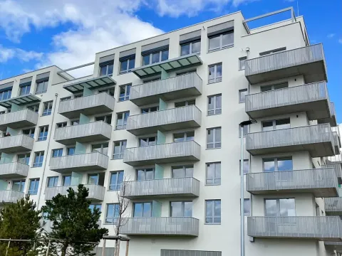 Pronájem bytu 1+kk, Praha - Dolní Měcholupy, Honzíkova, 25 m2