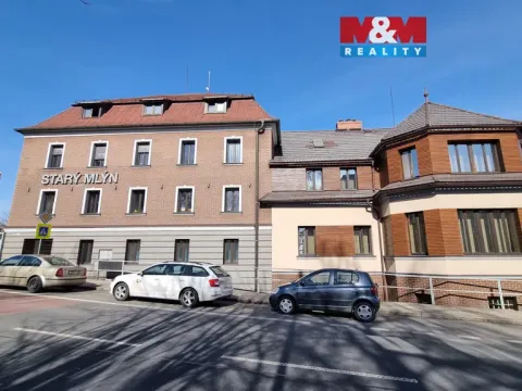 Pronájem kanceláře, Český Těšín, Ostravská, 19 m2