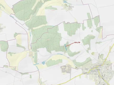 Dražba lesa, Koloveč, 3368 m2