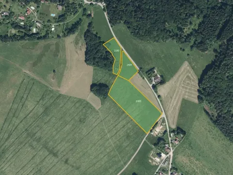 Prodej louky, Jílové u Držkova, 5847 m2