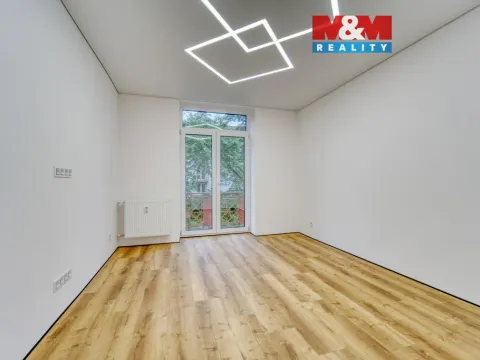 Prodej bytu 2+1, Plzeň - Východní Předměstí, Brojova, 56 m2