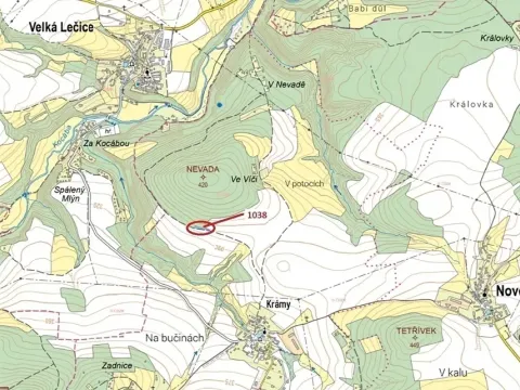 Dražba lesa, Nové Dvory, 953 m2