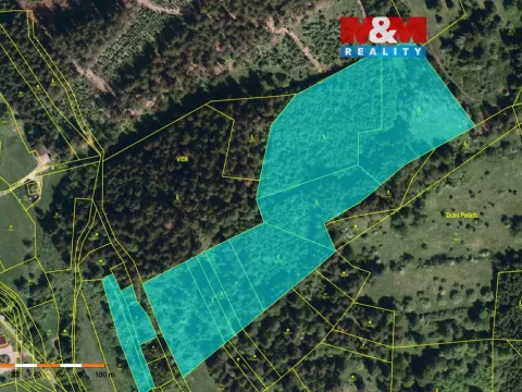 Prodej lesa, Nový Hrozenkov, 61613 m2