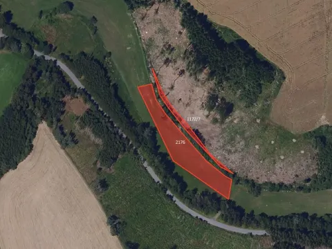 Prodej louky, Přibyslav, 4221 m2