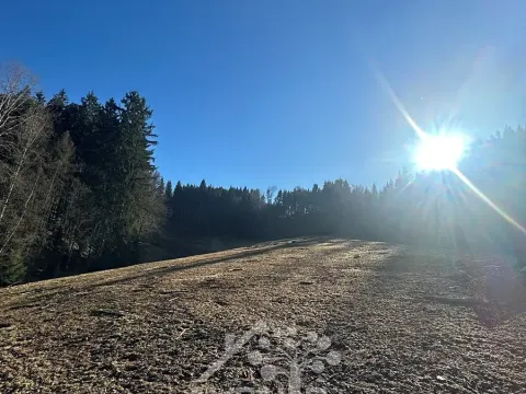 Prodej louky, Bozkov, 15029 m2