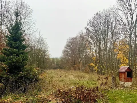 Dražba pozemku pro bydlení, Bělá nad Radbuzou, 1770 m2
