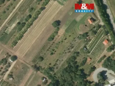 Prodej pole, Šitbořice, 1531 m2