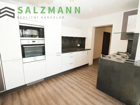 Pronájem bytu 3+kk, Plzeň, Rokycanská, 54 m2