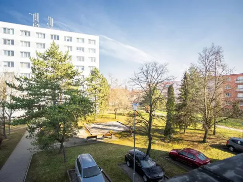 Prodej bytu 1+1, Plzeň - Jižní Předměstí, Čermákova, 39 m2