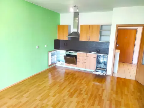 Pronájem bytu 1+kk, Brno, Kosmova, 39 m2