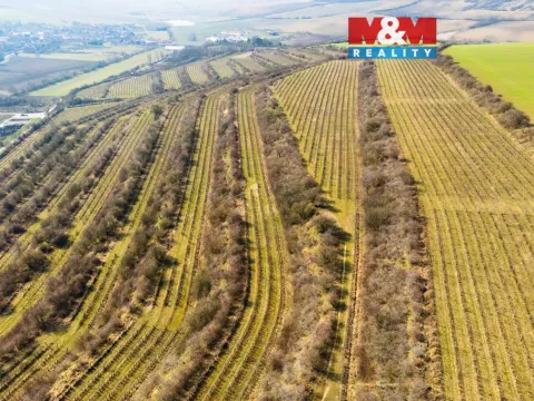 Prodej pole, Morkůvky, 2424 m2