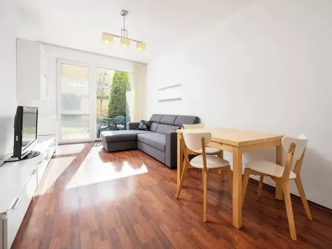 Pronájem bytu 2+kk, Brno, Šmahova, 44 m2