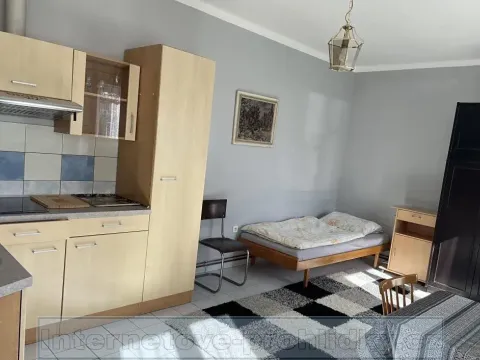 Pronájem pokoje, Praha - Vinohrady, Budečská, 25 m2
