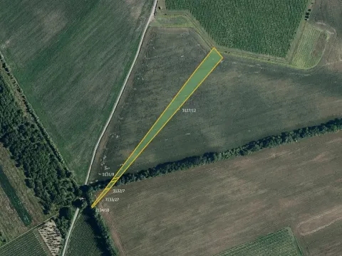 Prodej pole, Nový Poddvorov, 6188 m2