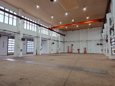 Pronájem výrobních prostor, Lišov, Hůrecká, 1109 m2