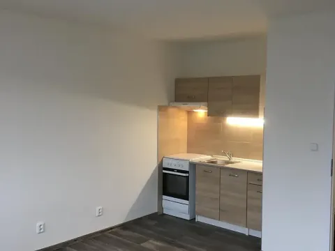 Pronájem bytu 1+1, Frýdlant, Lesní, 42 m2