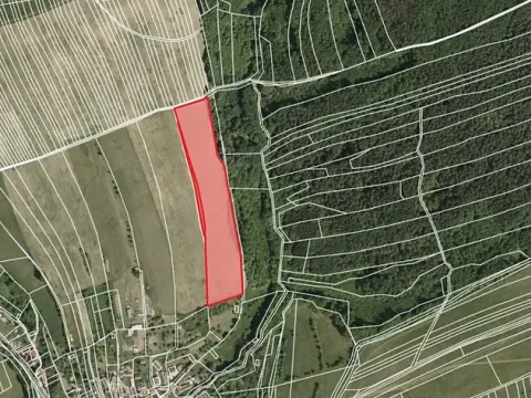 Prodej pole, Kaňovice, 154 m2