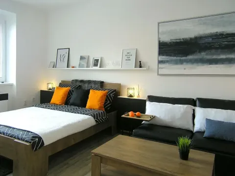 Pronájem bytu 2+kk, Ostrava, Myslbekova, 50 m2