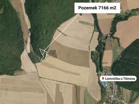 Prodej lesa, Lomnička, 7166 m2