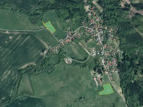 Prodej louky, Žlebské Chvalovice, 4844 m2