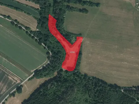 Prodej louky, Radkovice u Budče, 6873 m2