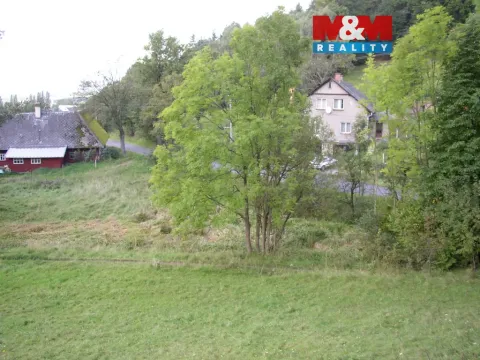 Prodej louky, Janův Důl, 2749 m2