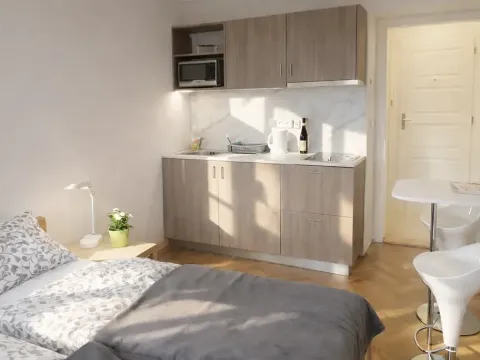 Pronájem bytu 1+kk, Praha - Žižkov, Fibichova, 25 m2