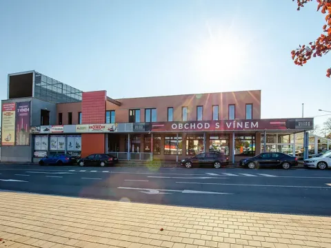 Pronájem kanceláře, Ostrava, Vítkovická, 38 m2