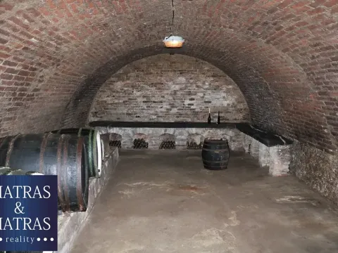 Prodej vinného sklepa, Pavlov, Rudolfa Gajdoše, 100 m2