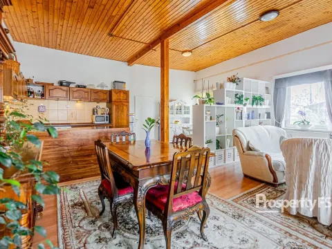 Prodej bytu 3+kk, Ostrava, 162 m2