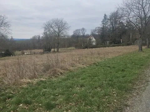 Prodej pozemku, Mezno - Stupčice, 4787 m2