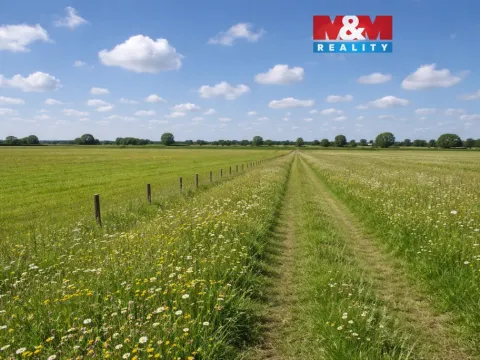 Prodej louky, Třemošná, 16129 m2