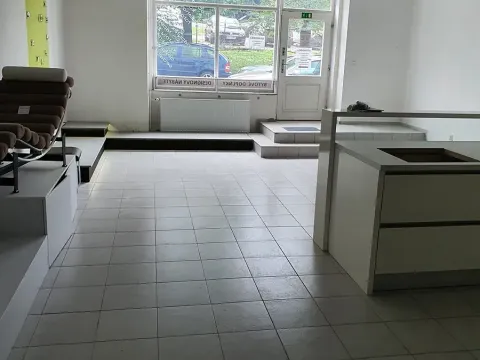 Pronájem obchodního prostoru, Jihlava, Havlíčkova, 60 m2