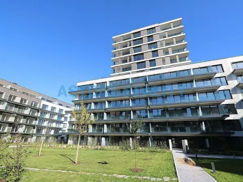 Pronájem bytu 1+kk, Praha - Žižkov, Šrámkové, 43 m2