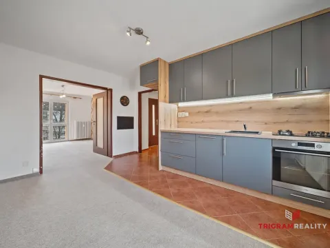 Prodej bytu 2+1, Pardubice - Zelené Předměstí, Wolkerova, 50 m2