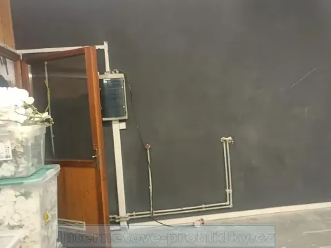 Pronájem skladu, Praha - Žižkov, Olšanská, 10 m2